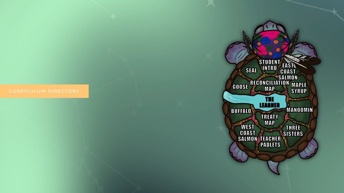 Homepage of the If the Land Could Speak curriculum site, with lessons laid out on a turtle shell