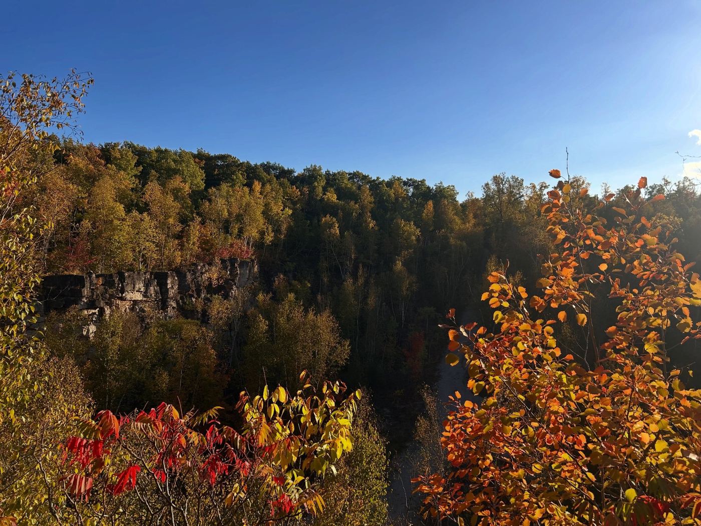 Autumn colours over a rocky ravine