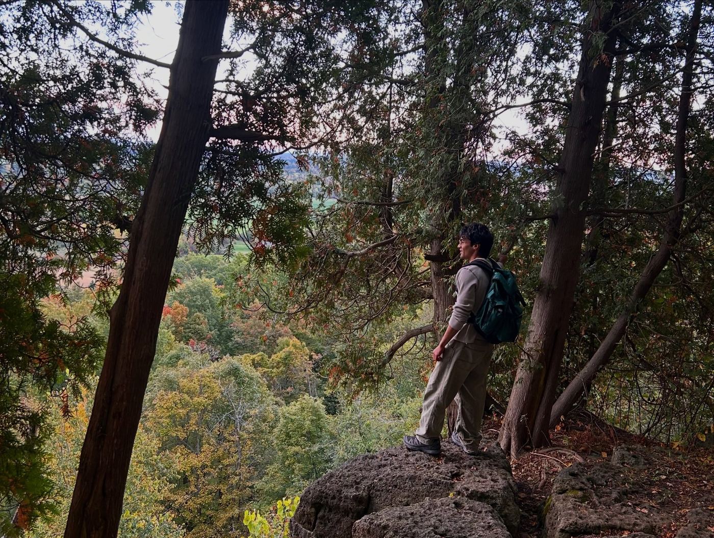 A hiker looking out over the trees